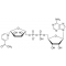 3-ACETYLPYRIDINE ADENINE DINUCLEOTIDE