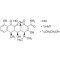 DOXYCYCLINE HYDROCHLORIDE