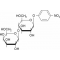 P-NITROPHENYL-B-D-LACTOPYRANOSIDE