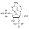 ADENOSINE 2',5'-DIPHOSPHATE SODIUM
