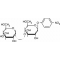 P-NITROPHENYL-B-D-MALTOSIDE