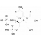 ADENOSINE 3',5'-DIPHOSPHATE SODIUM