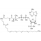 ARACHIDONOYL COENZYME A (C20:4) LITHIUM
