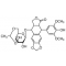 ETOPOSIDE