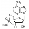 ADENOSINE 3':5'-CYCLIC MONOPHOSPHATESODI UM
