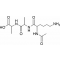 ACETYL-LYS-D-ALA-D-ALA