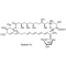 NYSTATIN BIOREAGENT, SUITABLE FOR CELL C