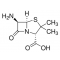 (+)-6-AMINOPENICILLANIC ACID, 96%