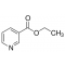 ETHYL NICOTINATE, 99%