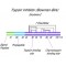 TRYPSIN-CHYMOTRYPSIN INHIBITOR FROM*SOYB EAN