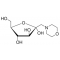 1-DEOXY-1-MORPHOLINO-D-FRUCTOSE