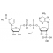NICOTINIC ACID ADENINE DINUCLEOTIDE*PHOS PHATE SODIU