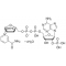 B-NICOTINAMIDE ADENINE DINUCLEOTIDE*PHOS PHATE FREE