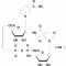 NICOTINAMIDE HYPOXANTHINE*DINUCLEOTIDE S ODIUM