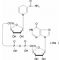 NICOTINAMIDE HYPOXANTHINE DINUCLEOTIDE*R EDUCED FORM