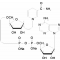 A-NICOTINAMIDE ADENINE DINUCLEOTIDE*REDU CED FORM DI