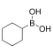 CYCLOHEXYLBORONIC ACID