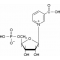 NICOTINIC ACID MONONUCLEOTIDE