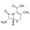 7-AMINODESACETOXY-CEPHALOSPORANIC ACID