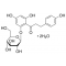 PHLORIDZIN FROM APPLE WOOD