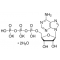 ADENOSINE 5'-TRIPHOSPHATE DIPOTASSIUMFRO M BACTERIA