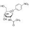 4-NITROPHENYL N-ACETYL-BETA-D-GLUCOSAMINIDE