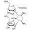 TOBRAMYCIN SULFATE