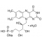 FLAVIN MONONUCLEOTIDE SODIUM