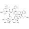 OCTREOTIDE