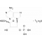 ADENOSINE 2-MONOPHOSPHATE FREE ACIDFROM YEAST