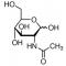 N-ACETYL-D-GLUCOSAMINE-AGAROSE