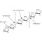 CELLULASE FROM FROM TRICHODERMA VIRIDE , BIOREAGENT, ACTIVITY: 3-10 UNITS/MG SOLID PLANT CELL CULTURE TESTED