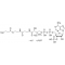 N-BUTYRYL COENZYME A LITHIUM