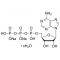 ADENOSINE 5'-TRIPHOSPHATE DISODIUM SALT HYDRATE GRADE II FROM MICROBIAL SOURCE, CRYSTALLINE