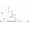 N-BENZOYL-PRO-PHE-ARG P-NITROANILIDEHYDR OCHLORIDE