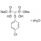TILUDRONATE DISODIUM SALT HYDRATE