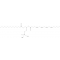PROTEIN KINASE C, ZETA ISOZYME