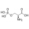 O-PHOSPHO-L-SERINE