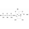 8-BROMOADENOSINE 5'-TRIPHOSPHATE SODIUM