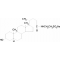 TAUROLITHOCHOLIC ACID SODIUM