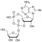 8-BROMO-CYCLIC ADENOSINE DIPHOSPHATERIBO SE