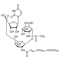 TUNICAMYCIN FROM A STREPTOMYCES SPECIES