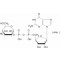 GUANOSINE 5'-DIPHOSPHO-D-MANNOSE*TYPE I SODIUM