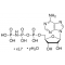 ADENOSINE 5#-(BETA, GAMMA-IMIDO)TRIPHOSPHATE LITHIUM SALT HYDRATE