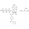 2'-3'-O-(4-BENZOYLBENZOYL)ADENOSINE5'-TR IPHOSPHATE