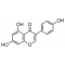 GENISTEIN SYNTHETIC