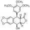 PICROPODOPHYLLOTOXIN