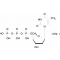 THYMIDINE 5'-TRIPHOSPHATE SODIUM 100 MM