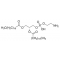 L-A-PHOSPHATIDYLETHANOLAMINE,DISTEAROYL