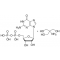 GUANOSINE 5'-DIPHOSPHATE TRIS TYPE VI